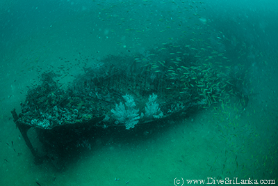 Stern of the ship